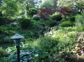 DSC08204.JPG